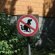 Правила Содержания Собак в Германии
